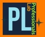 Professionals Lab Company Logo