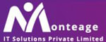 Monteage IT Solutions Company Logo