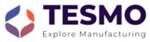 Tesmo Company Logo