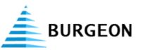 Burgeon IT Services logo