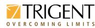 Trigent Software Pvt Ltd logo