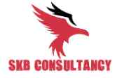 SKB Consultancy Pvt Ltd Company Logo