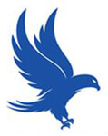 Falcon Multi Services Company Logo