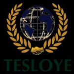 Tesloye consaltancy service logo