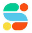 Studywise International Company Logo