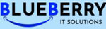 Blueberry IT Solutions Company Logo