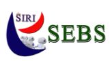 Siree E Business Solutions Pvt Ltd logo