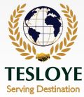 Tesloye Consultancy Service logo