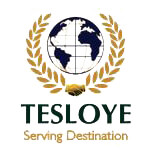Tesloye Consultancy Services logo