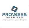 Prowess Consultancy Company Logo