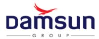 Damsun India Pvt Ltd logo