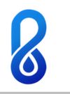Blue Minch Company Logo
