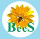 BeeS Software Solutions logo