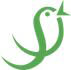 Saletancy Consulting Pvt. Ltd Company Logo