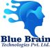 Blue Brain Technologies Pvt Ltd logo