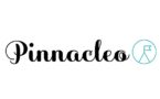 Pinnacleo Pvt Ltd logo