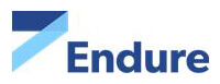 Endure Technology Solutions Company Logo