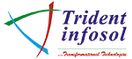 Trident Infosol Pvt Ltd logo