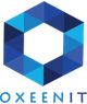 Oxeen It Pro Solutions Pvt. Ltd logo