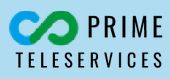 Prime Teleservices Pvt. Ltd. logo