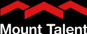 Mount Talent Consulting Company Logo