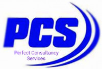 Perfect Consultancy Services Company Logo