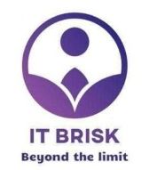 IT Brisk Company Logo