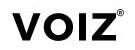 Voizworks logo