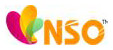 NSO Services Pvt Ltd logo