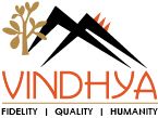 Vindhya E-Infomedia Pvt Ltd logo