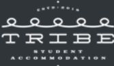 Tribe Stays logo