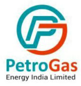 Petrogas Energy India Ltd logo