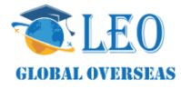 LEO Global Overseas logo