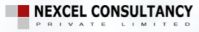 Nexcel Consultants logo