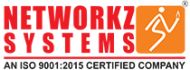 Networkz Systems logo