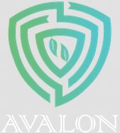 AvalonTribe Infotech logo