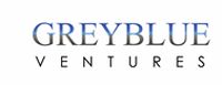 GreyBlue Ventures Private Limited. logo