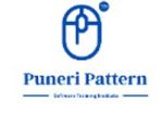 Puneri Pattern Pvt Ltd Company Logo