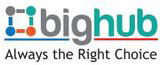 Bighub Solutions logo