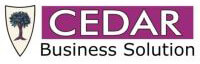Cedar Business Solutions logo