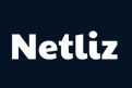 Netliz Technologies logo