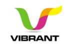 Vibrant Infocom Pvt Ltd logo