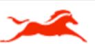 TVS Motor Company Limited Company Logo