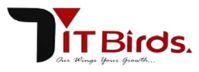 ITbirds Technology Company Logo
