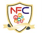 Naushad Financial Consultant Company Logo