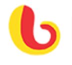 Bajaj Capital Company Logo