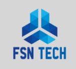 FSN Infotech Company Logo