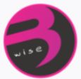 Bwise Solutions logo