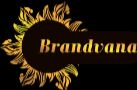 Brandvana logo