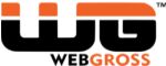Webgross Solutions Private Limited logo